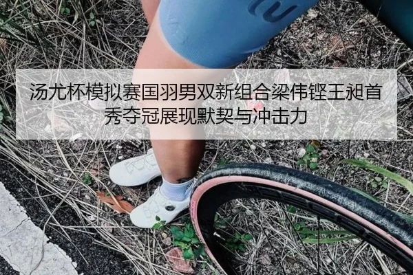 tang-you-bei-mo-ni-sai-guo-yu-nan-shuang-xin-zu-he-liang-wei-keng-wang-chang-shou-xiu-duo-guan-zhan-xian-mo-qi-yu-chong-2-960.jpg